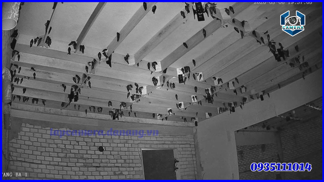 lap-dat-camera-cho-nha-yen-can-luu-y-gi-2