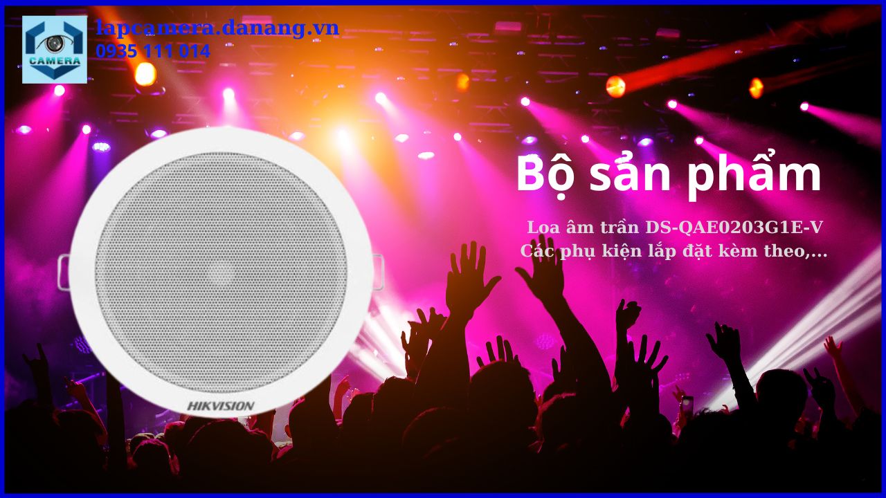 loa-analog-am-tran-ds-qae0203g1e-v