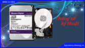 o-cung-hdd-wd-purple-10tb.lapcamera.danang.vn-1