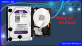 o-cung-hdd-wd-purple-1tb.lapcamera.danang.vn-3