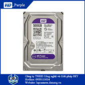 o-cung-hdd-wd-purple-500gb.lapcamera.danang.vn-0