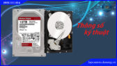 o-cung-hdd-wd-red-10tb.lapcamera.danang.vn-1