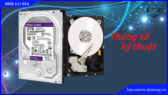 o-cung-hdd-western-8tb.lapcamera.danang.vn-0