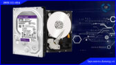 o-cung-hdd-western-8tb.lapcamera.danang.vn-1