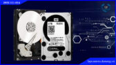 o-cung-wd-black-hdd-2tb.lapcamera.danang.vn-1