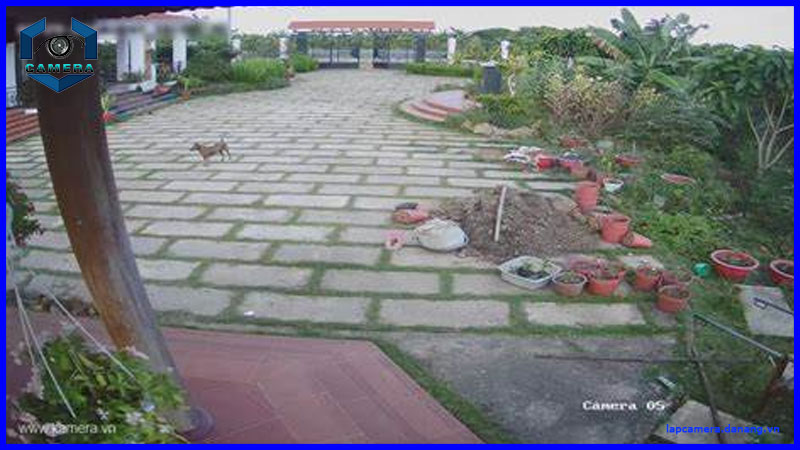 lap-dat-camera-tai-duong-bau-nghe-1-2