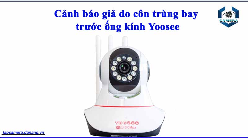 canh-bao-gia-do-con-trung-bay-truoc-ong-kinh-yoosee